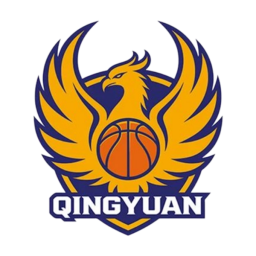粵BA深圳隊(duì)